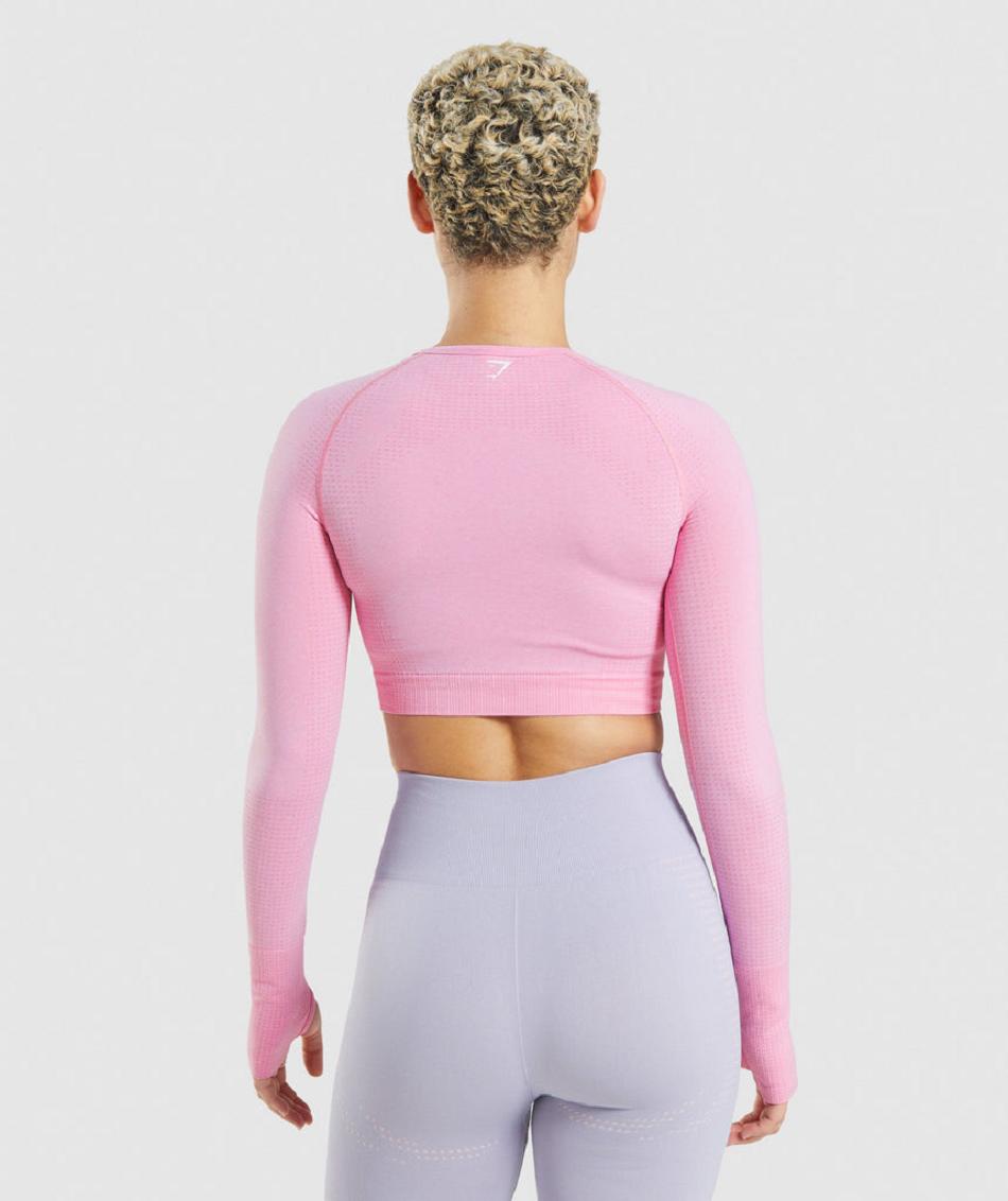 Corp Tops Gymshark Vital Seamless 2.0 Mujer Rosas | CO 2448LIS